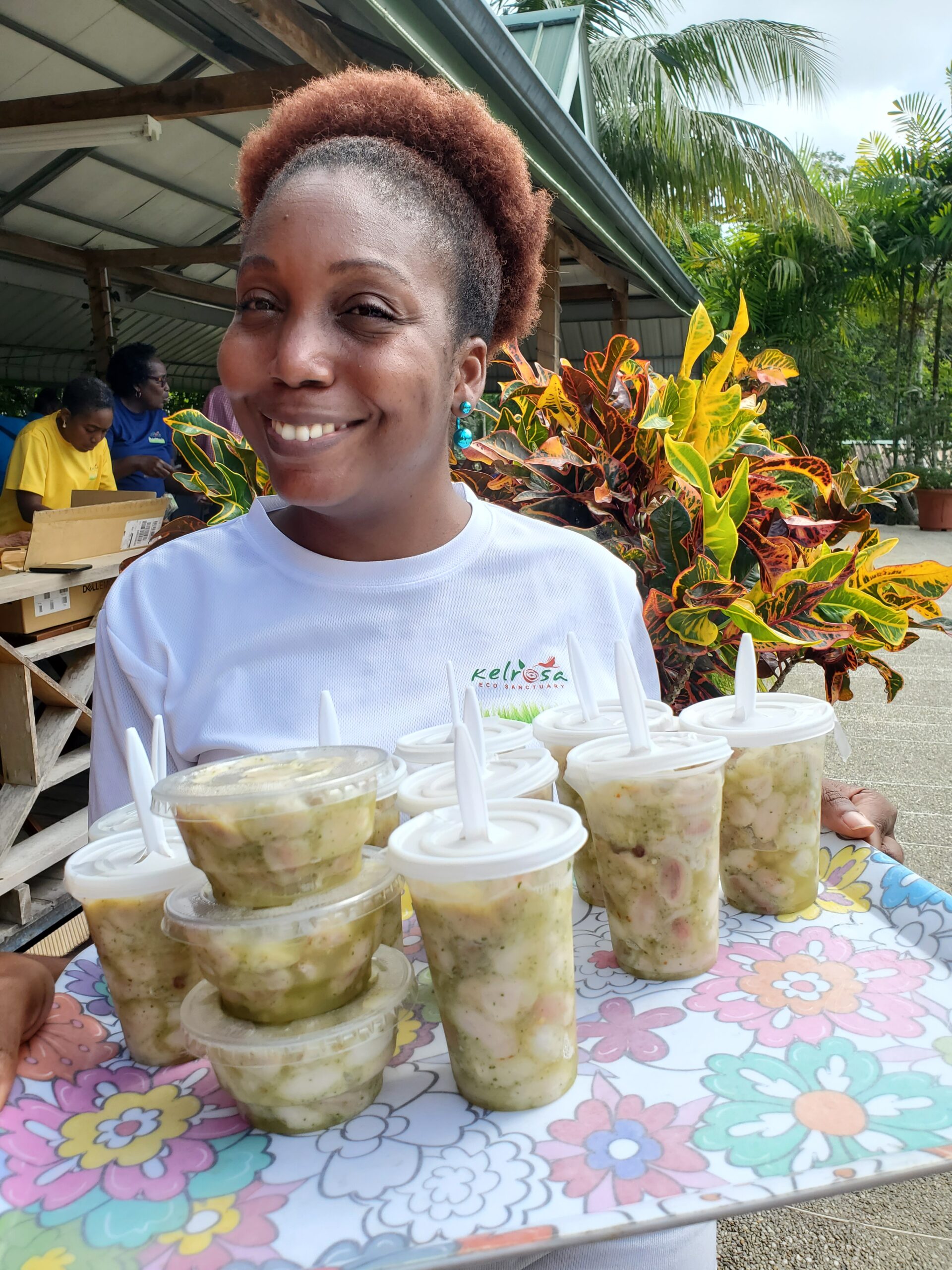 Pineapple and Cocoa Tour - Image 5