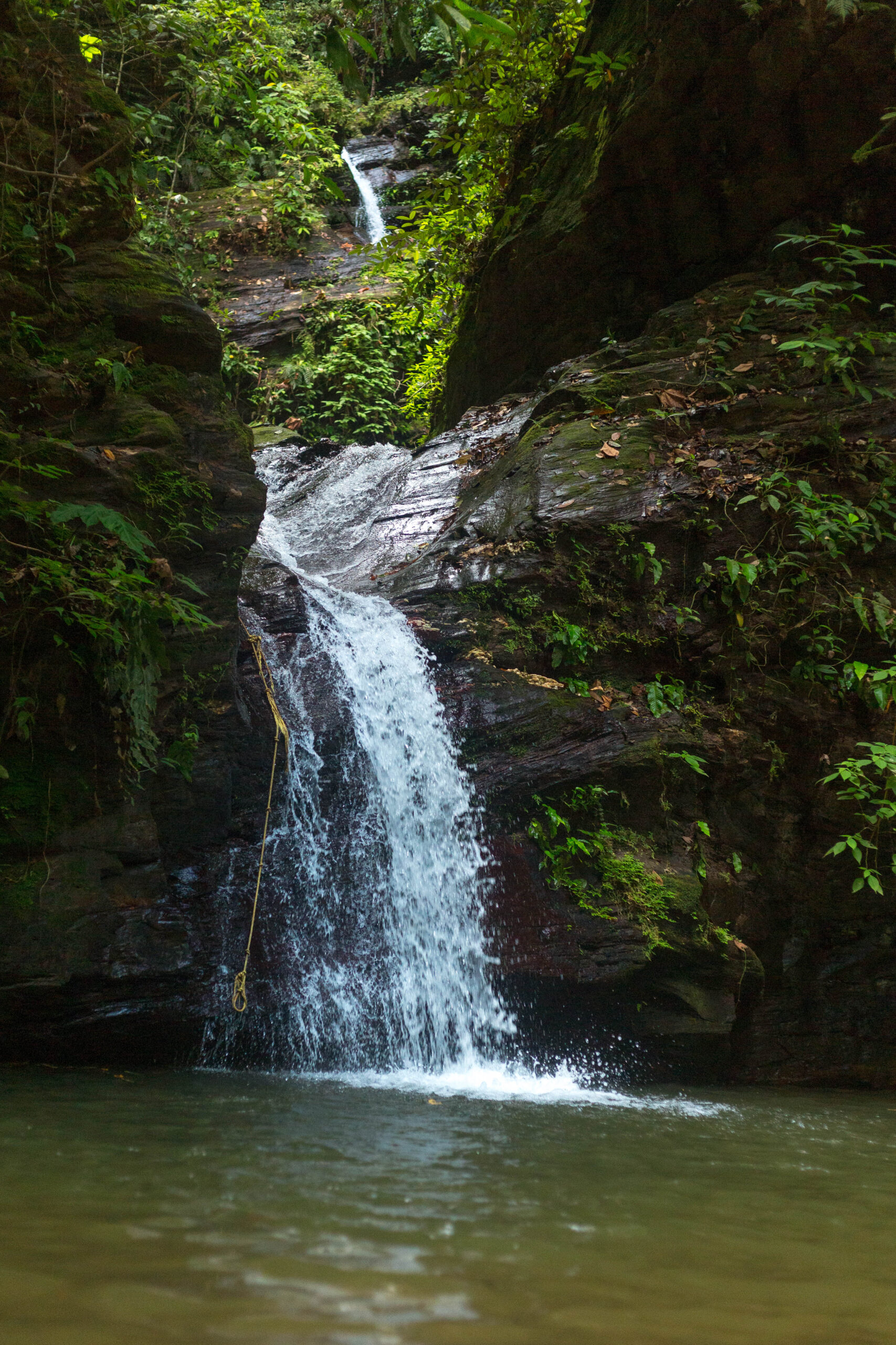Zorro Falls Hike - Image 4