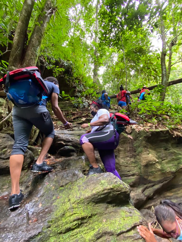 Zorro Falls Hike - Image 3