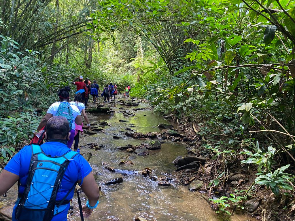 Zorro Falls Hike - Image 6