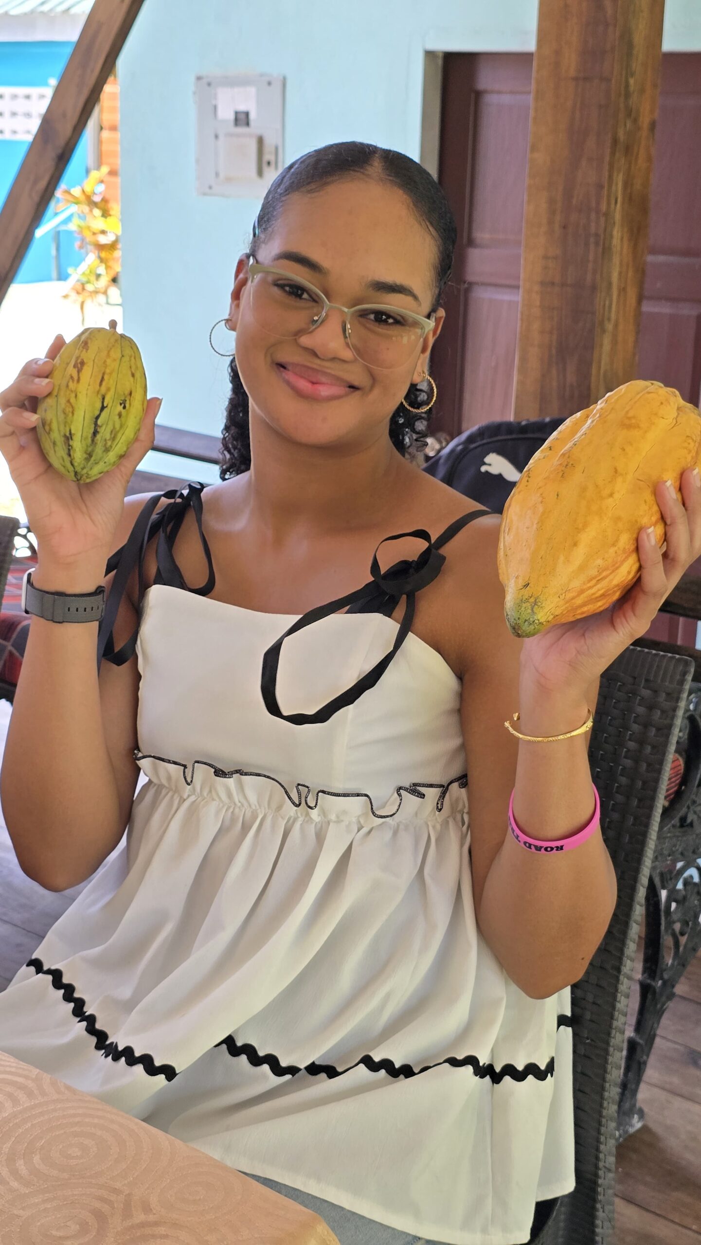 Pineapple and Cocoa Tour - Image 3