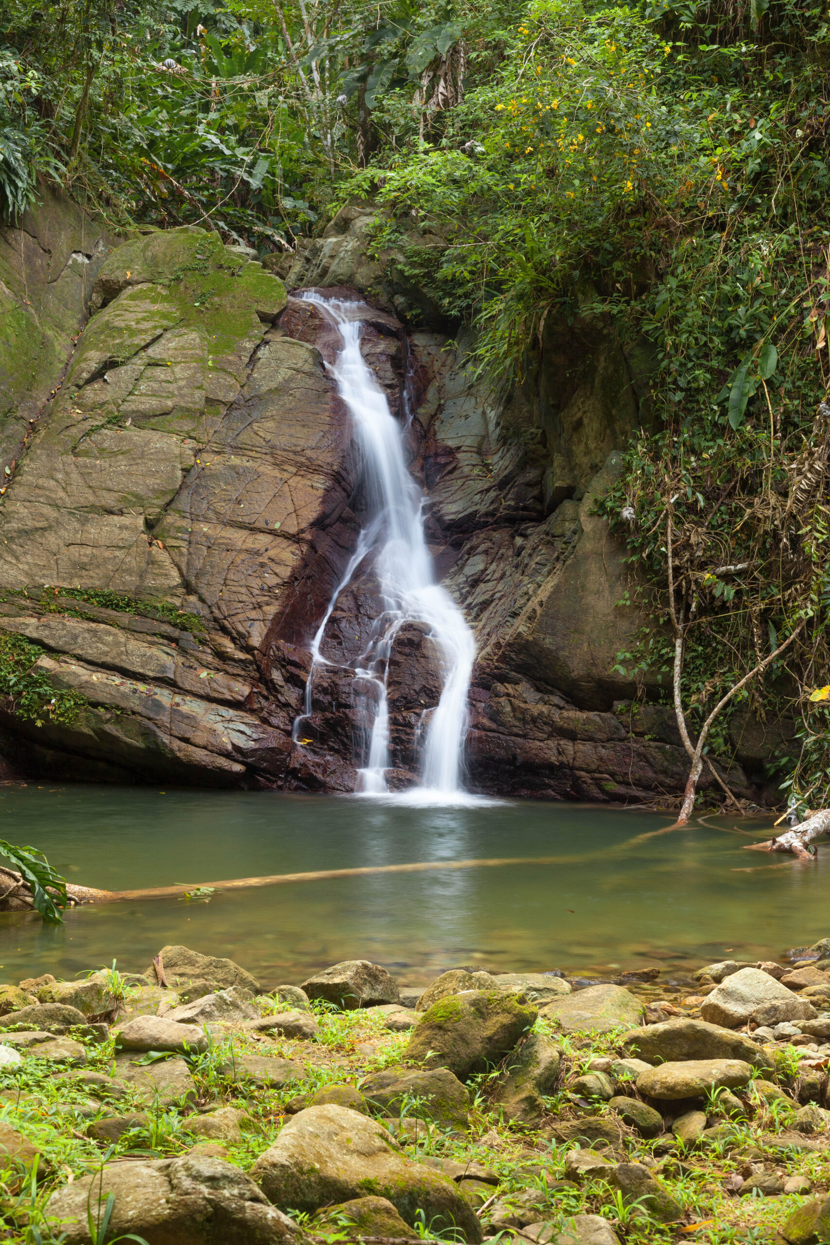 Tobago East Coast Staycation August 2026 - Image 4