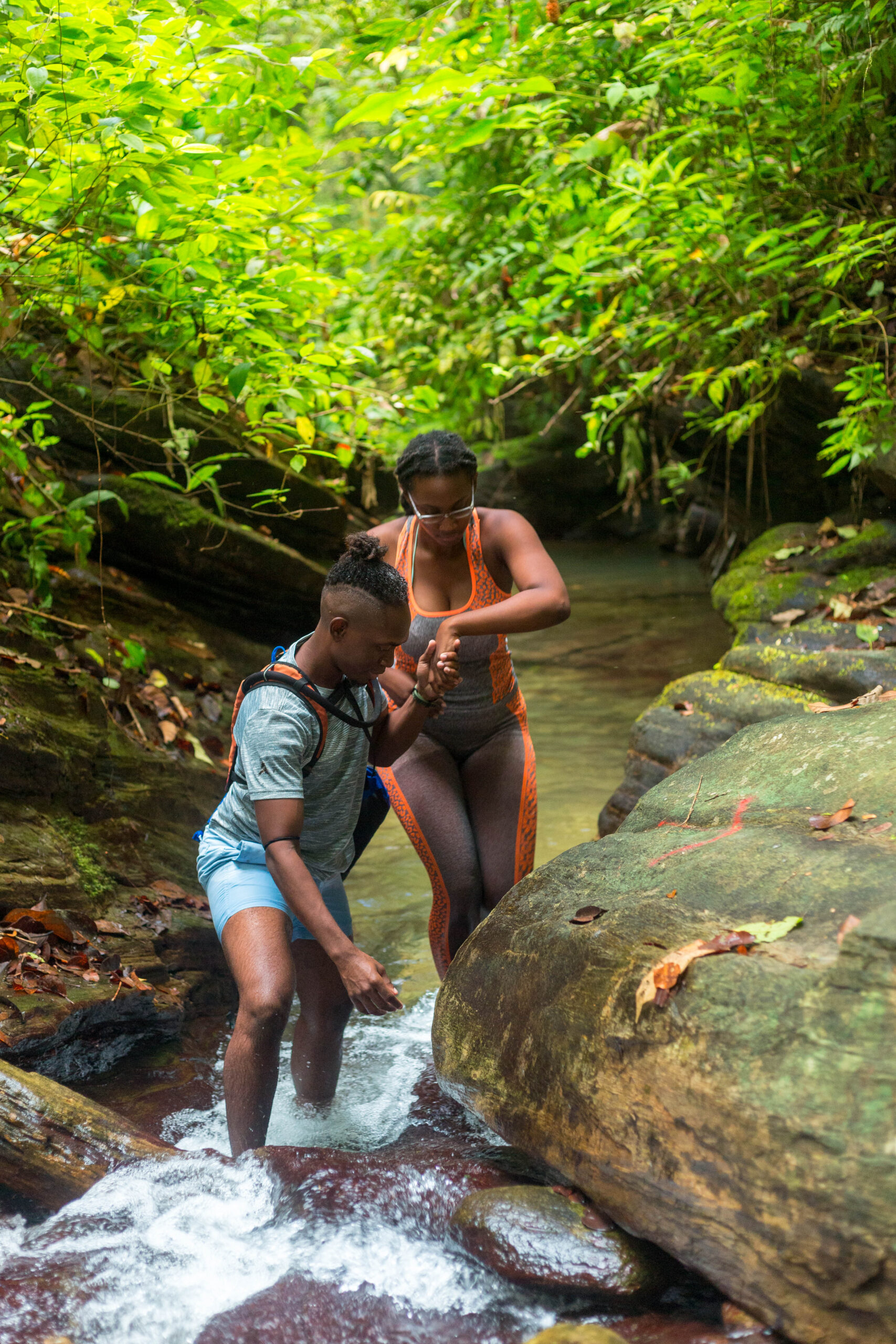 Turure Water Steps Hike - Image 3
