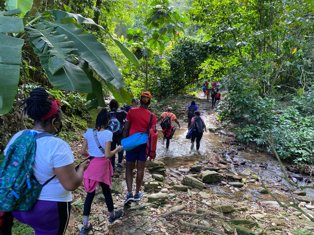 Turure Water Steps Hike - Image 6