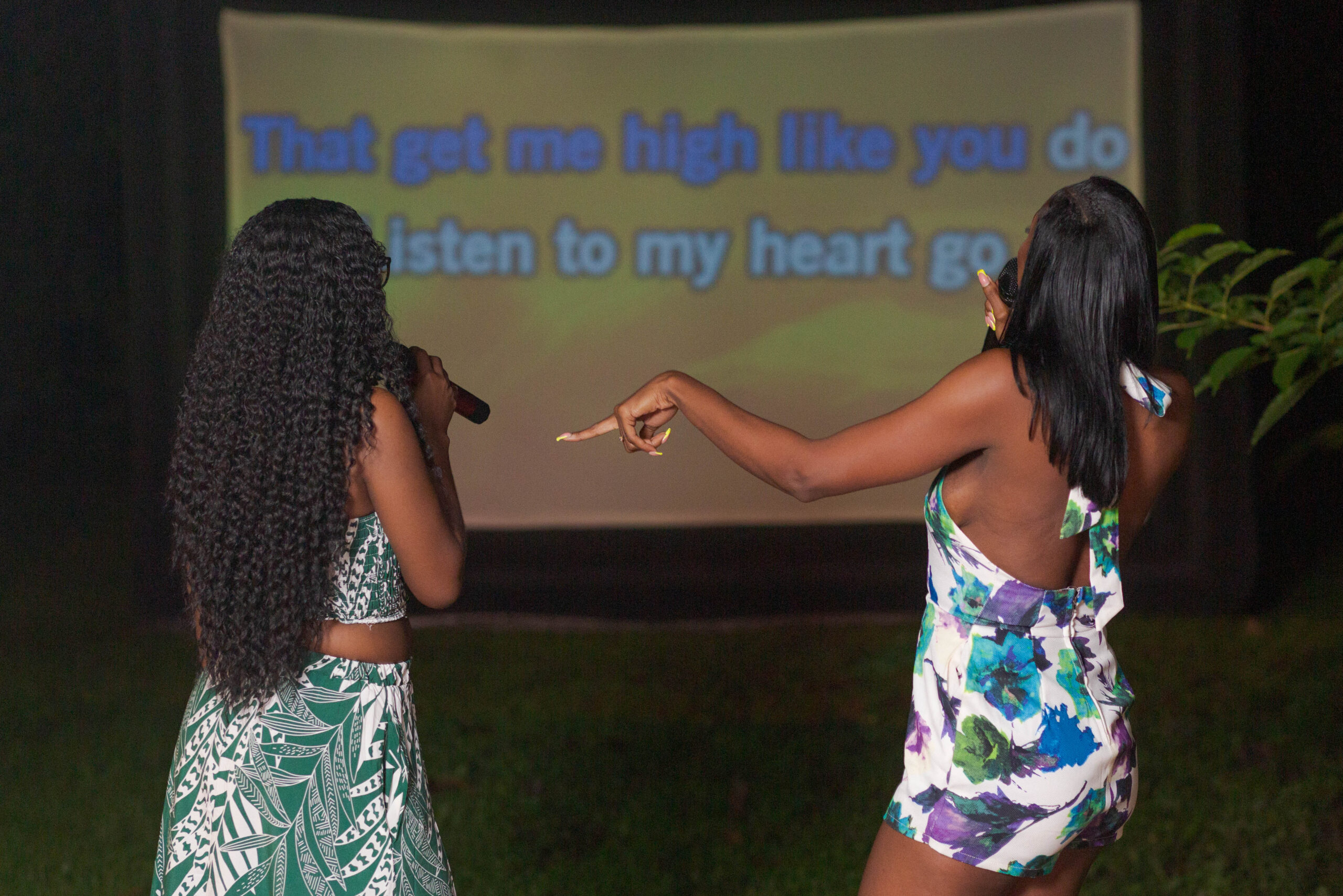 Outdoor Movie Night Experience - Image 6